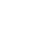 Fox logo